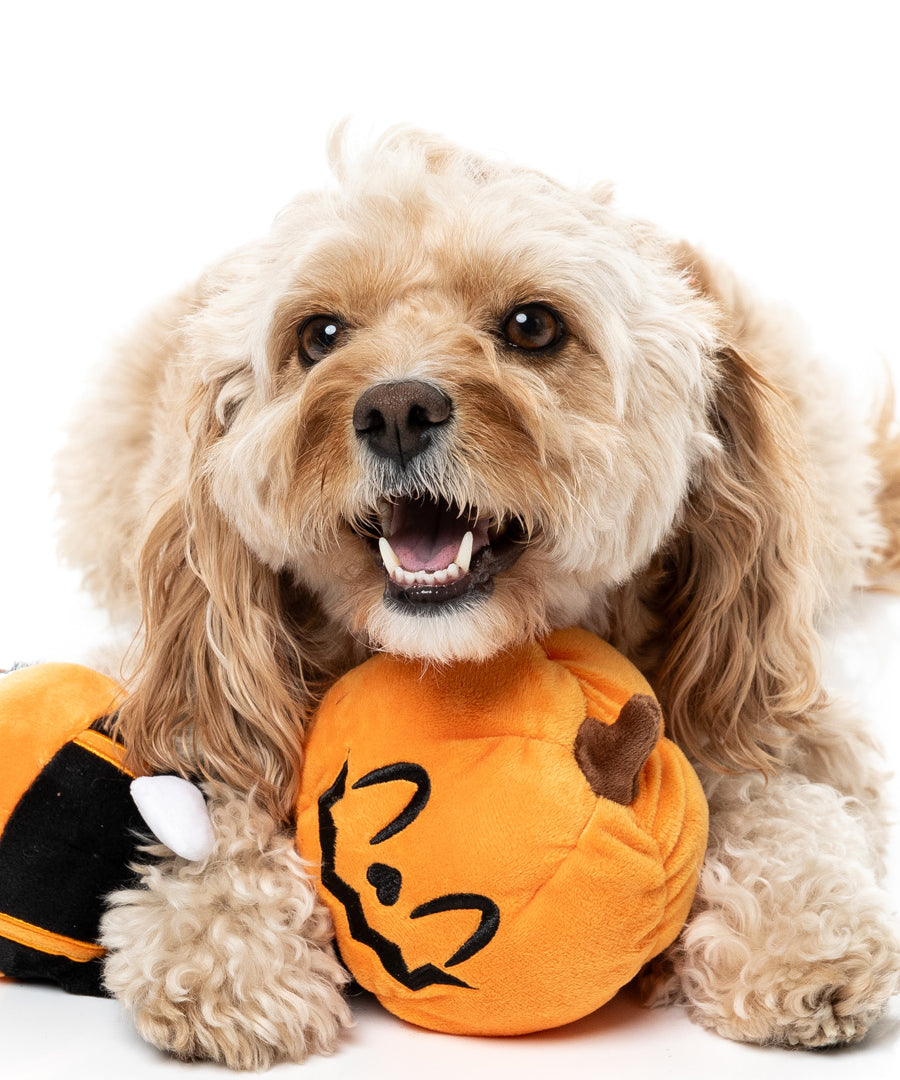 Fuzzyard-peluche-pour-chien-originale-halloween-Mr-citrouille