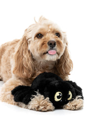 Fuzzyard-peluche-pour-chien-originale-halloween-araignee-noire-rouge