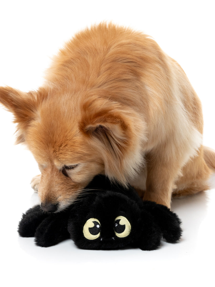 Fuzzyard-peluche-pour-chien-originale-halloween-araignee-noire-rouge
