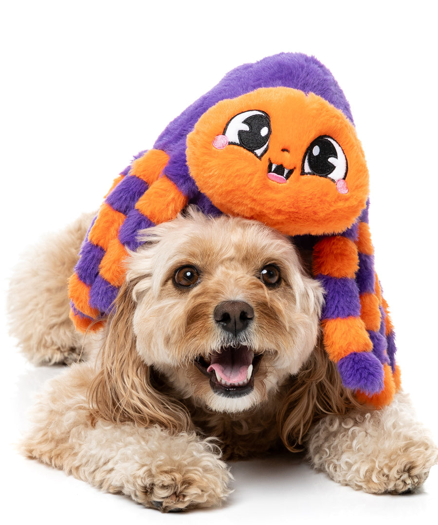Fuzzyard-peluche-pour-chien-originale-halloween-araignee-orange-violette