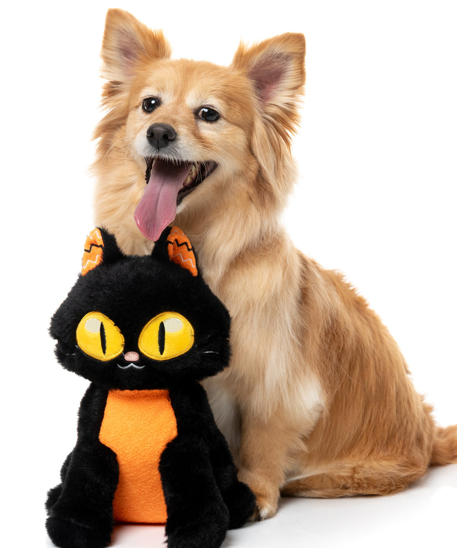 Fuzzyard-peluche-pour-chien-originale-halloween-chat-noir-orange