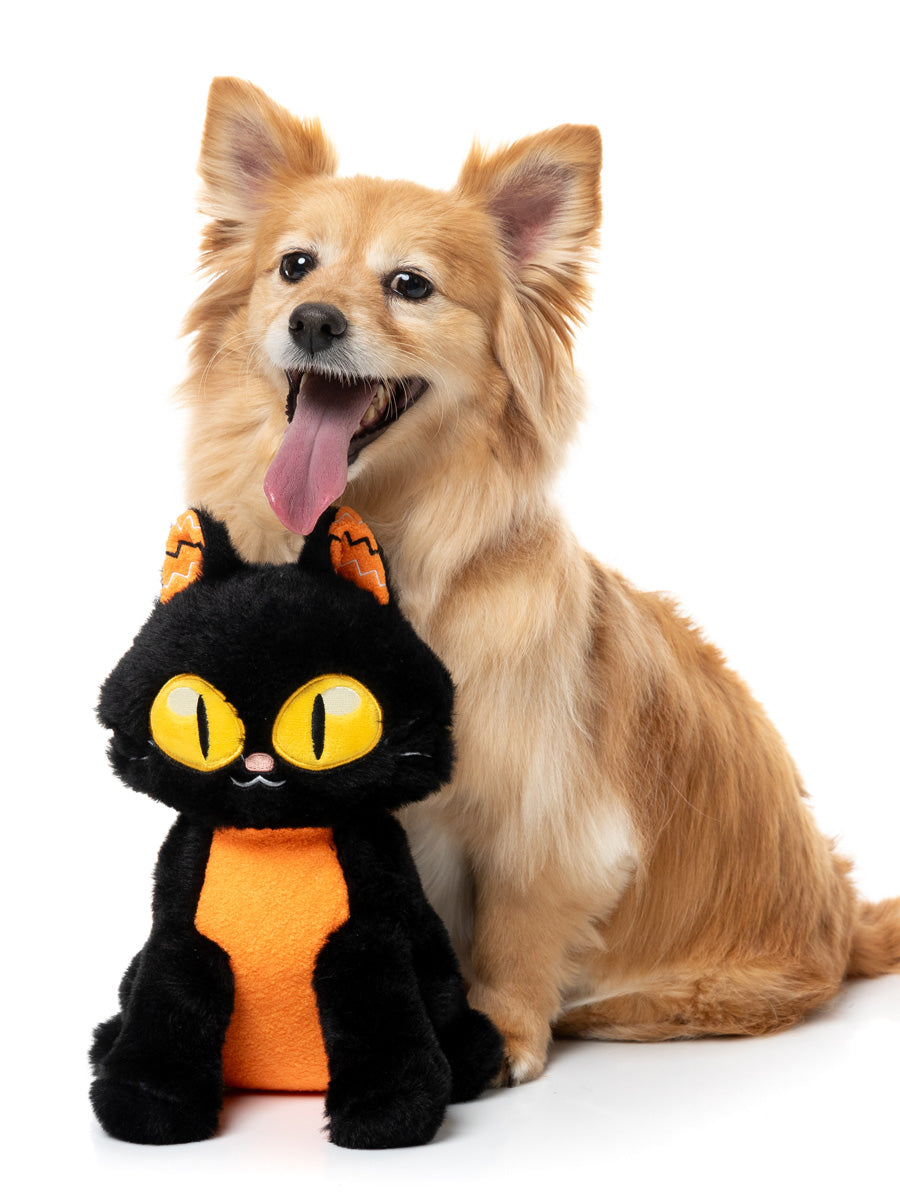Fuzzyard-peluche-pour-chien-originale-halloween-chat-noir-orange