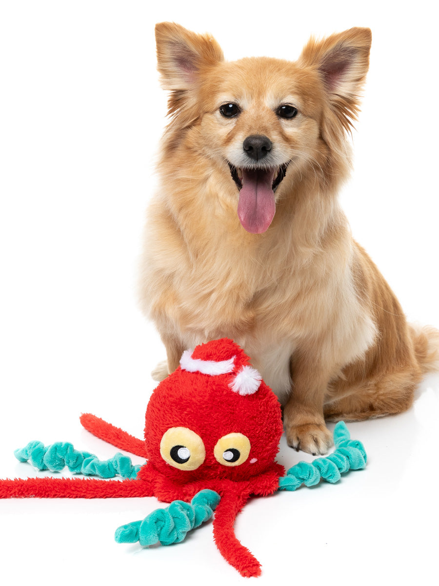 Fuzzyard-peluche-pour-chien-originale-pieuvre-noel