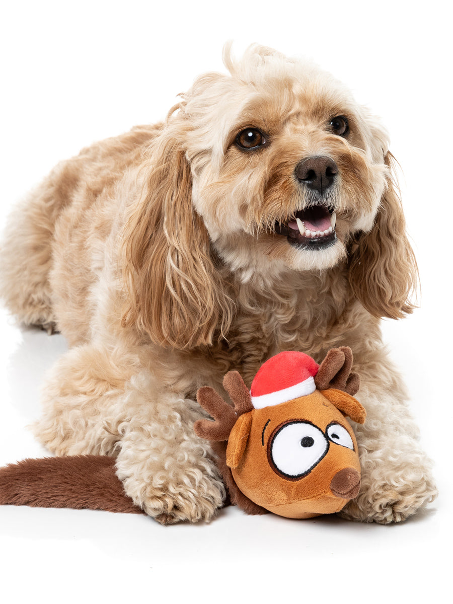 Fuzzyard-peluche-pour-chien-souris-noel