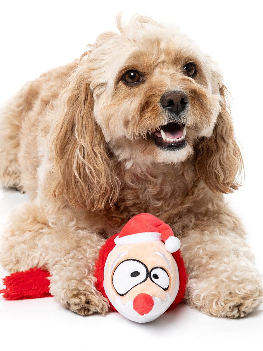 Fuzzyard-peluche-pour-chien-souris-pere-noel