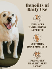 Hackney-Dog-House-complement-alimentaire-chien-bouillon-boeuf