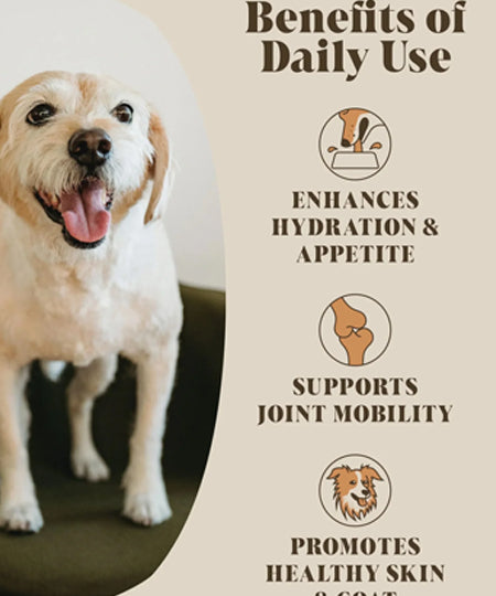Hackney-Dog-House-complement-alimentaire-chien-bouillon-boeuf