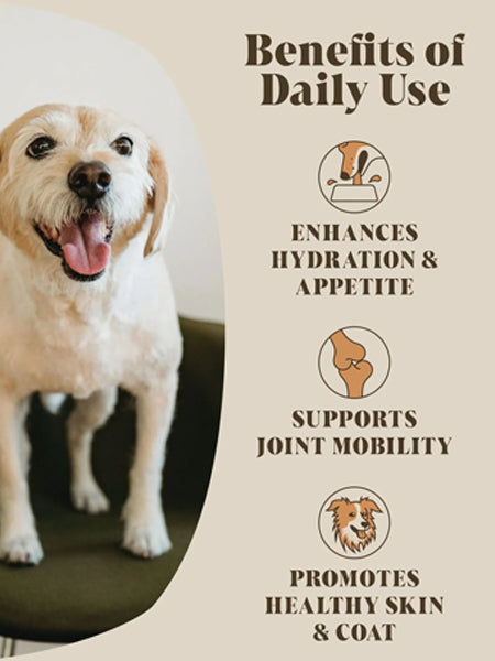 Hackney-Dog-House-complement-alimentaire-chien-bouillon-boeuf