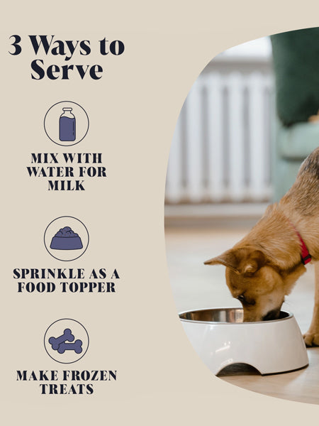 Hackney-Dog-House-complement-alimentaire-chien-calmant-relax