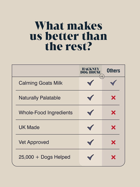 Hackney-Dog-House-complement-alimentaire-chien-calmant-relax