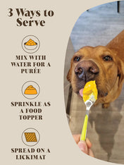 Hackney-Dog-House-complement-alimentaire-chien-digestion-probiotic
