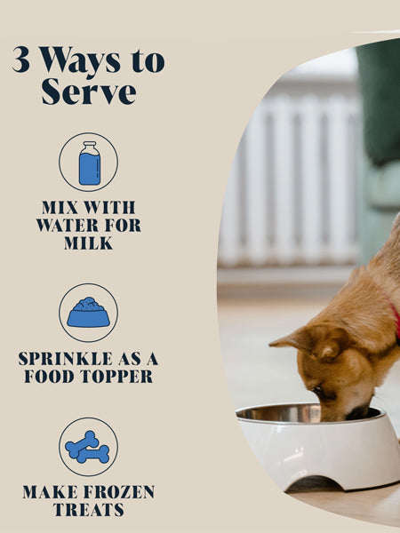 Hackney-Dog-House-complement-alimentaire-chien-lait-de-chevre