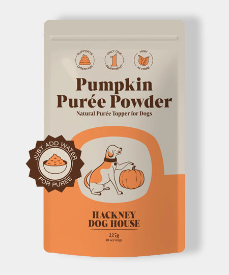 Hackney-Dog-House-complement-alimentaire-chien-poudre-de-citrouille