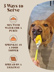 Hackney-Dog-House-complement-alimentaire-chien-poudre-de-citrouille