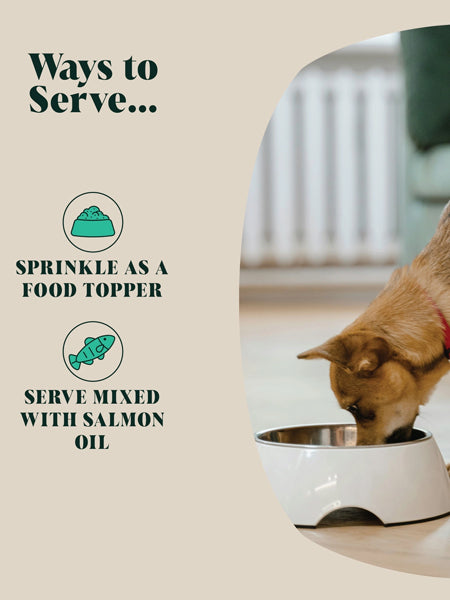 Hackney-Dog-House-complement-alimentaire-chien-poudre-de-moule-verte