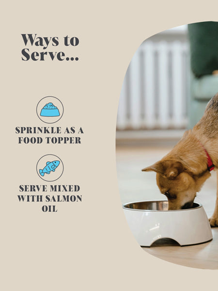 Hackney-Dog-House-complement-alimentaire-chien-soin-dentaire