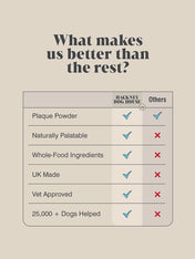 Hackney-Dog-House-complement-alimentaire-chien-soin-dentaire