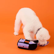 The-Foggy-Dog-peluche-fouille-balle-pour-chien-maison-hantee