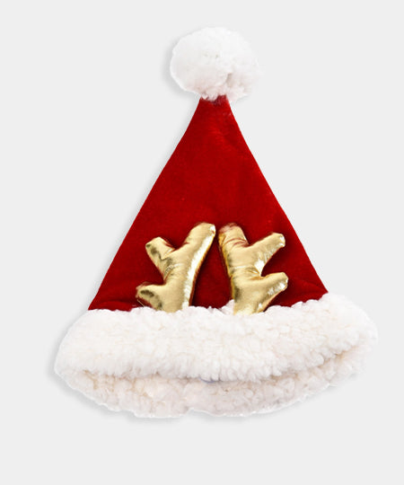       House-of-Paws-chapeau-renne-noel-pour-chien