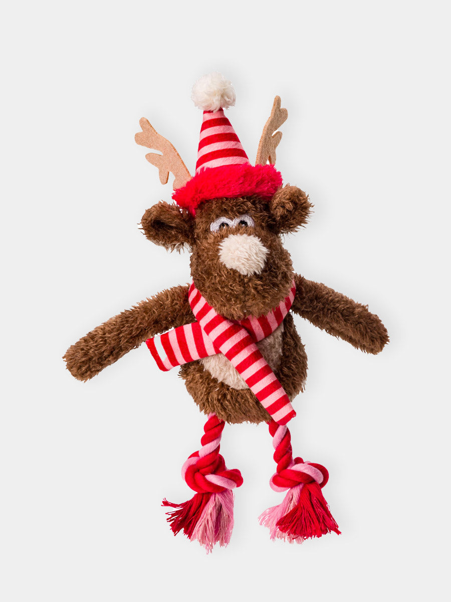 House-of-Paws-echarppe-pour-chien-noel-2025-rennes