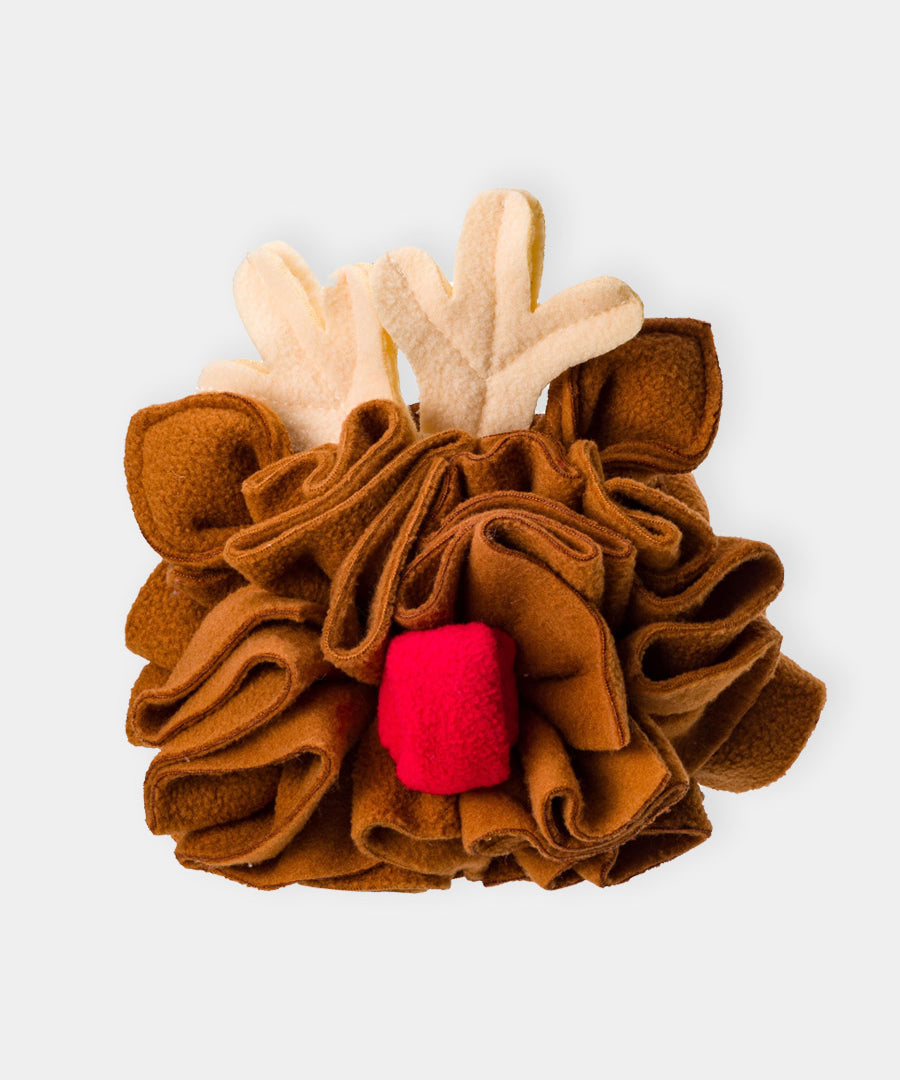 House-of-Paws-peluche-fouille-pour-chien-noel-2025-rennes