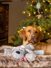 House-of-Paws-peluche-pour-chien-maxi-chien-noel