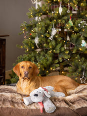 House-of-Paws-peluche-pour-chien-maxi-chien-noel