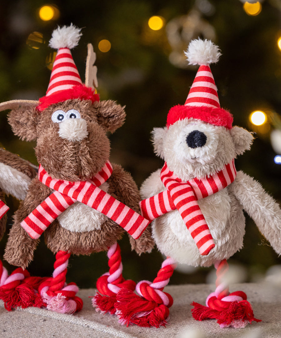 House-of-Paws-peluche-pour-chien-noel-2025-morse