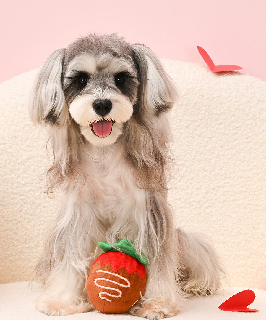 HugSmart-peluche-balle-pour-chien-chiot-fraise-chocolat