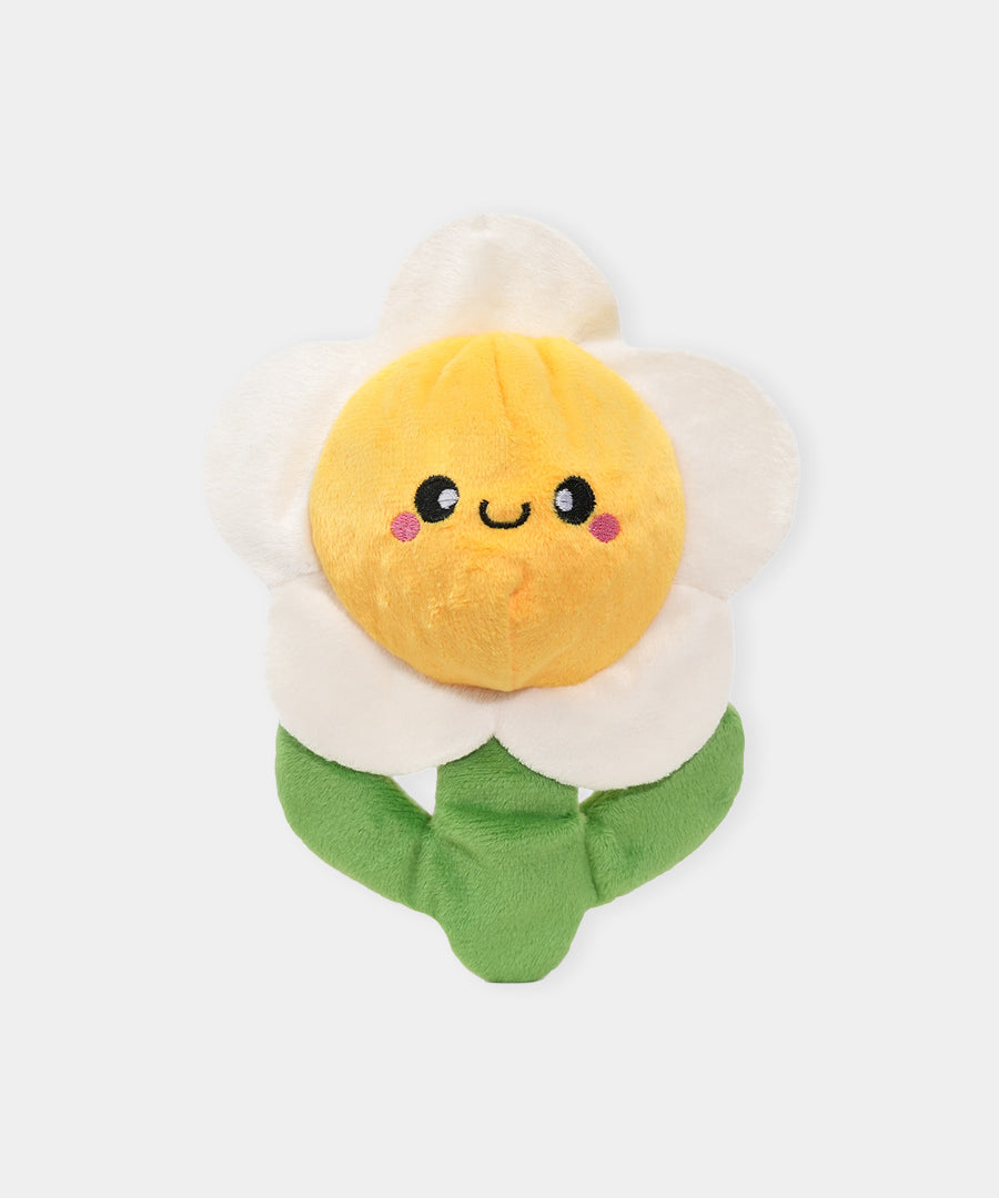 HugSmart-peluche-balle-pour-chien-chiot-margueritte