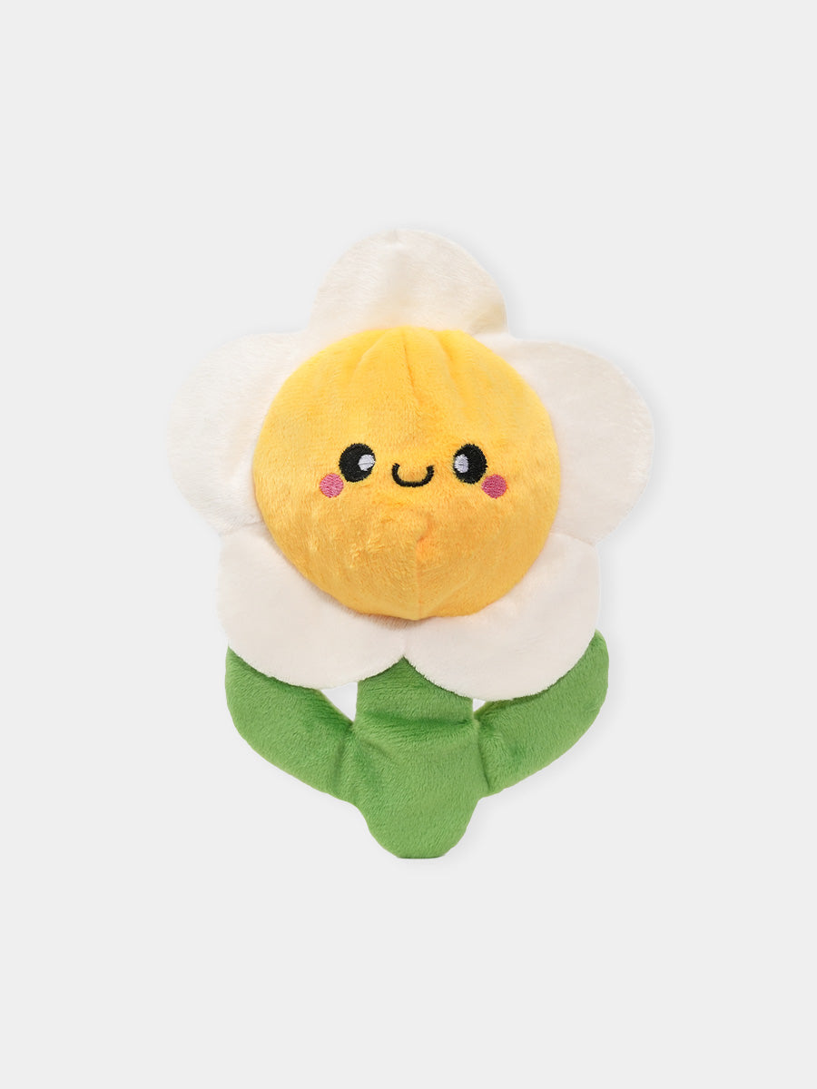 HugSmart-peluche-balle-pour-chien-chiot-margueritte