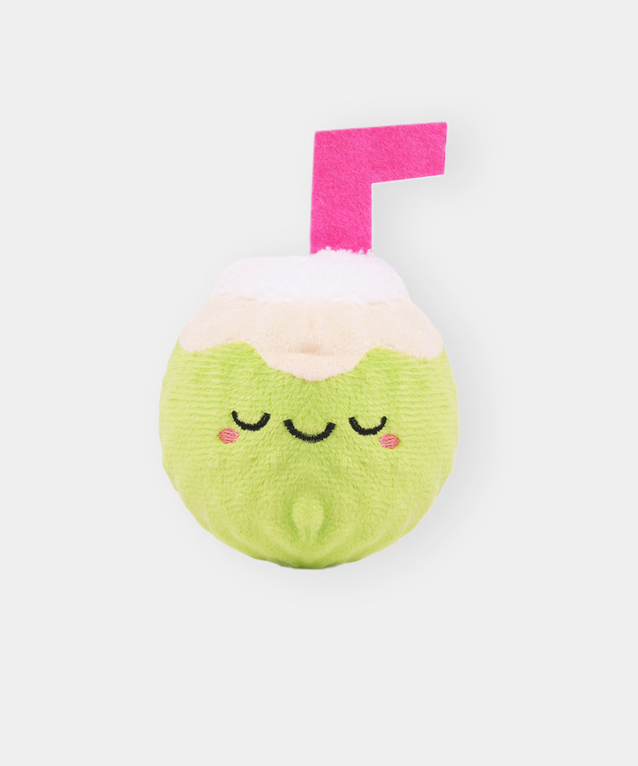 HugSmart-peluche-balle-pour-chien-chiot-noix-de-coco