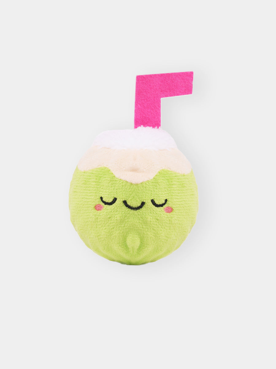 HugSmart-peluche-balle-pour-chien-chiot-noix-de-coco