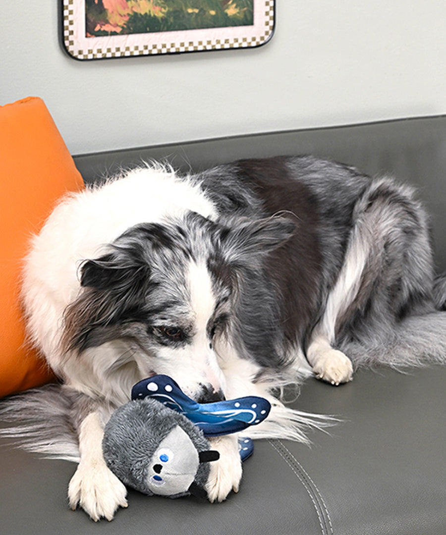 HugSmart-peluche-balle-pour-chien-chiot-papillon