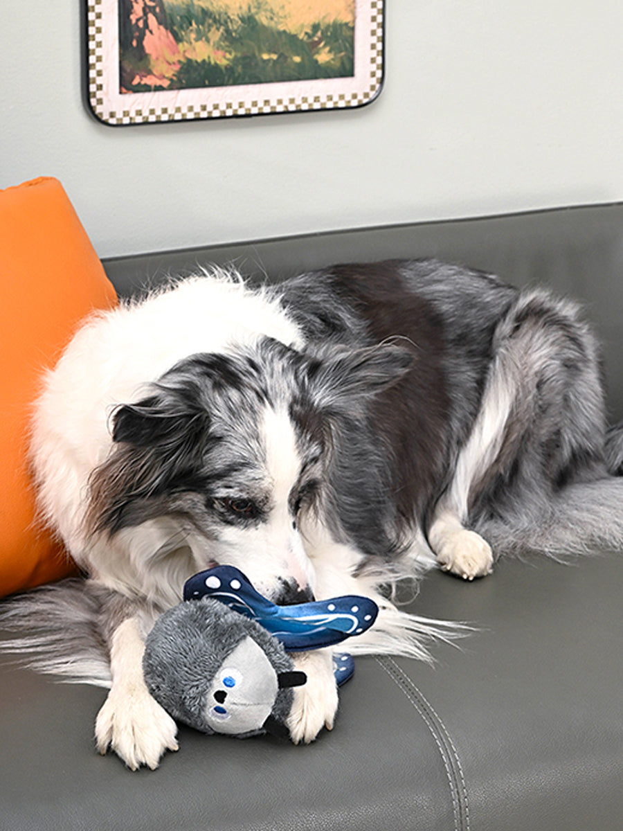 HugSmart-peluche-balle-pour-chien-chiot-papillon