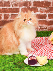 HugSmart-peluche-chat-herbe-a-chat-vin-fromage