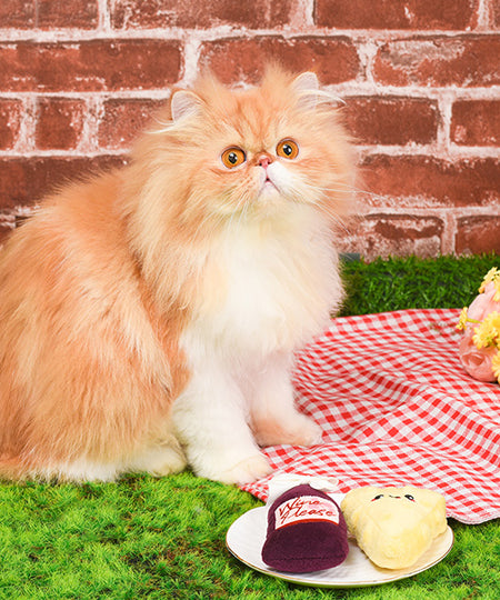 HugSmart-peluche-chat-herbe-a-chat-vin-fromage