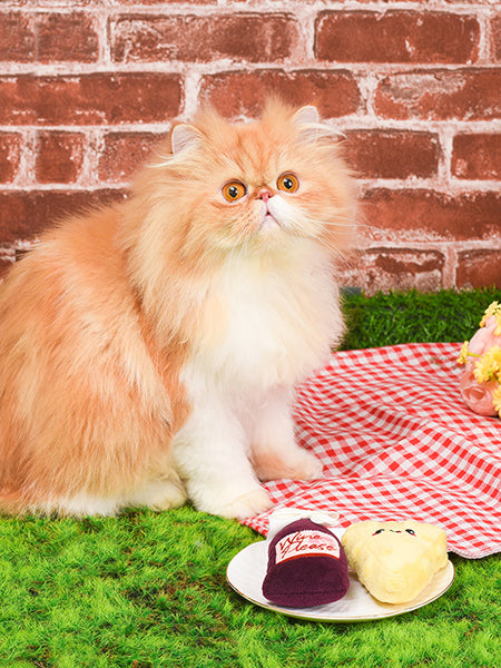 HugSmart-peluche-chat-herbe-a-chat-vin-fromage