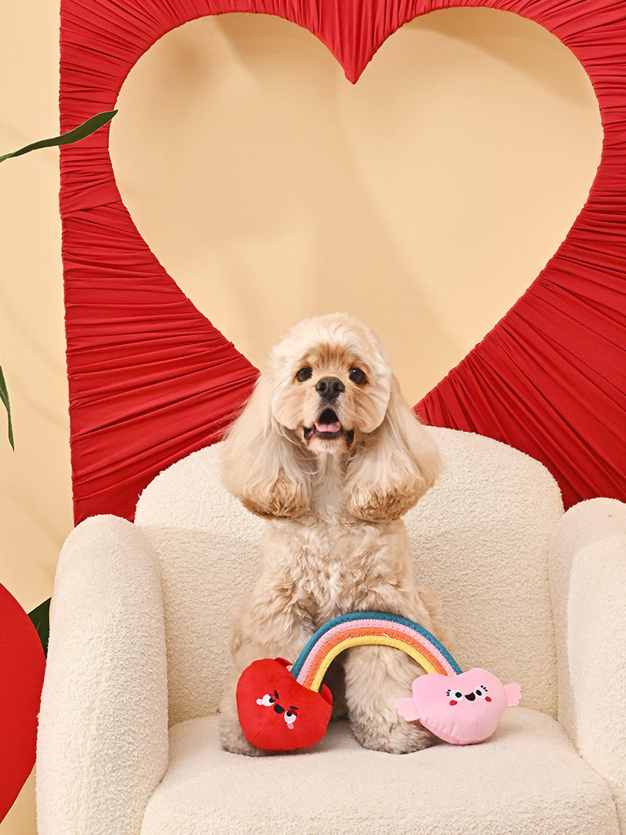 HugSmart-peluche-corde-pour-chien-chiot-arc-en-ciel-coeur