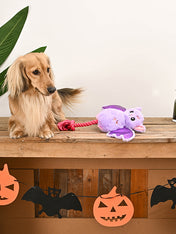 HugSmart-peluche-corde-pour-chien-chiot-chauve-souris-rose