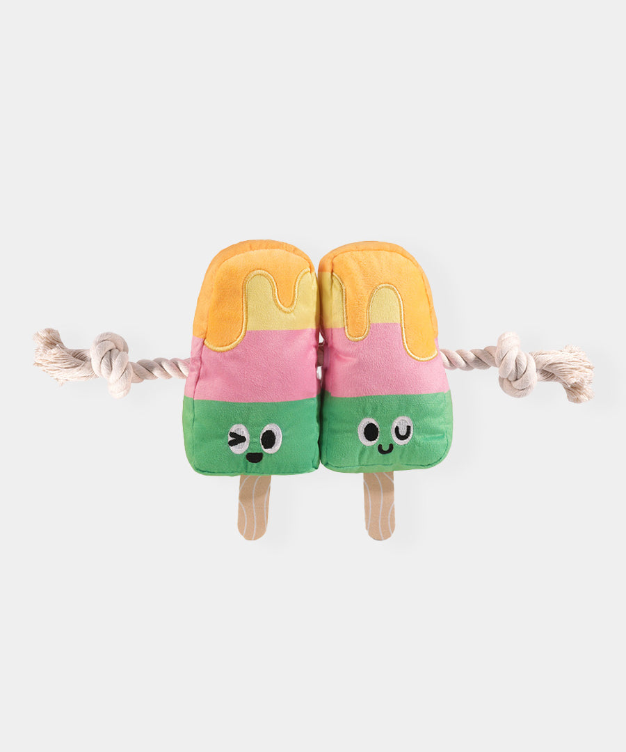 HugSmart-peluche-corde-pour-chien-chiot-glace