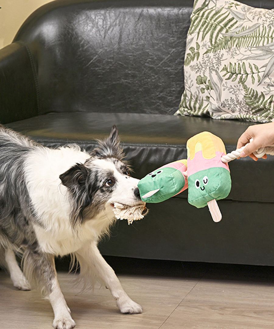 HugSmart-peluche-corde-pour-chien-chiot-glace