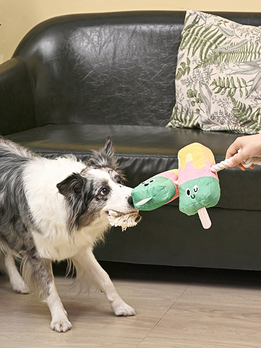 HugSmart-peluche-corde-pour-chien-chiot-glace