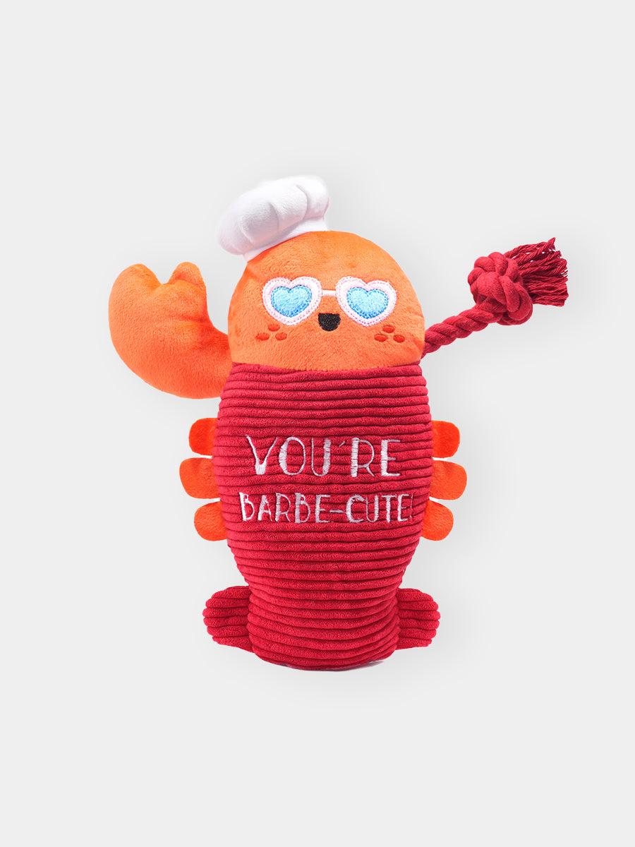 HugSmart-peluche-corde-pour-chien-chiot-homard