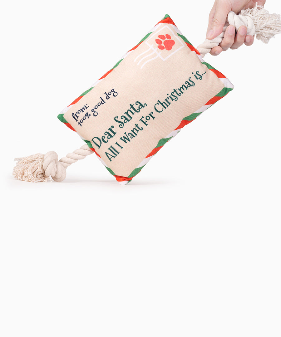 HugSmart-peluche-corde-pour-chien-chiot-lettre-pere-noel