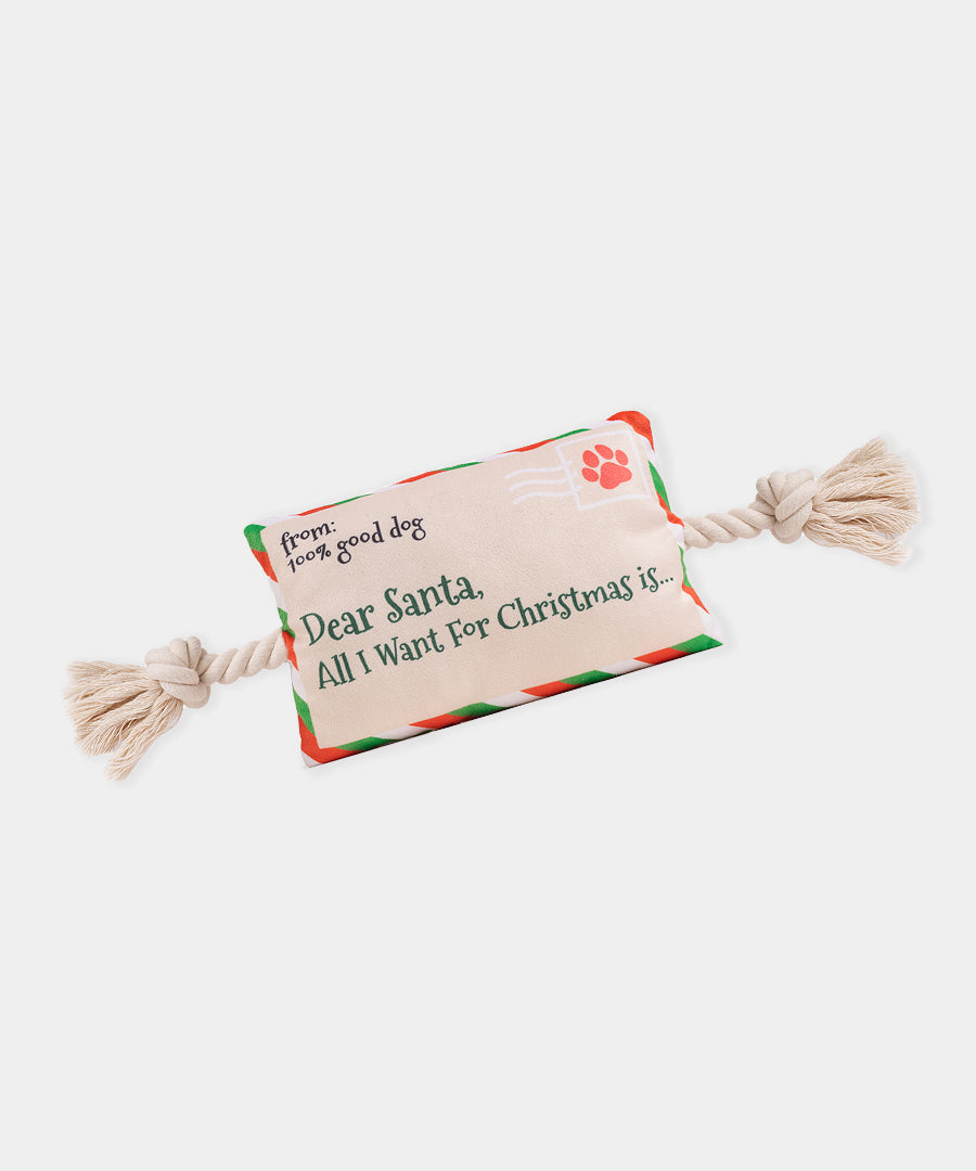 HugSmart-peluche-corde-pour-chien-chiot-lettre-pere-noel