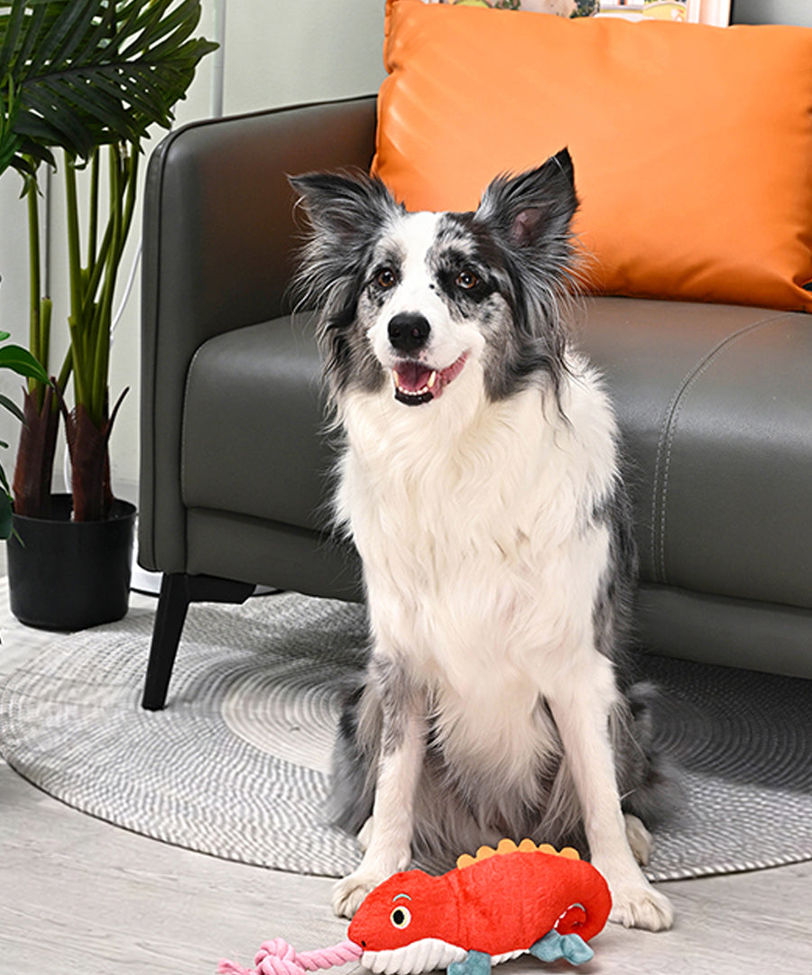 HugSmart-peluche-corde-pour-chien-chiot-lezard