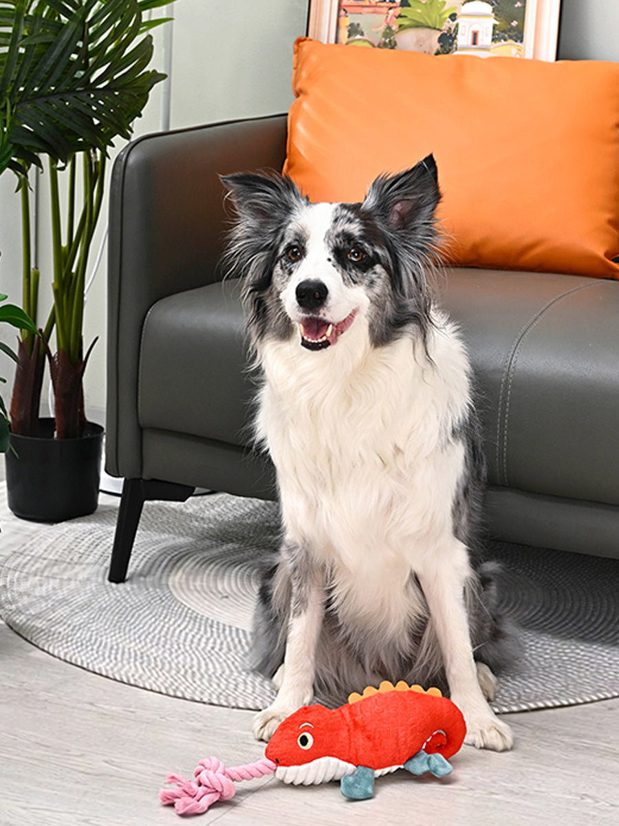 HugSmart-peluche-corde-pour-chien-chiot-lezard