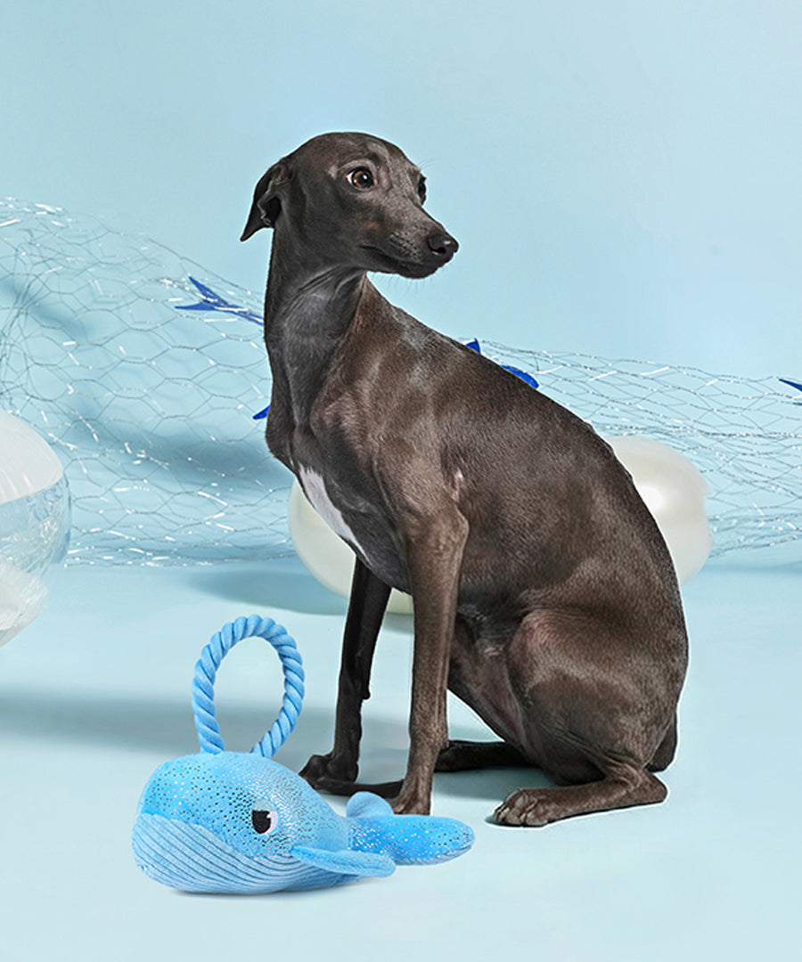 HugSmart-peluche-corde-pour-chien-chiot-ocean-pals-baleine