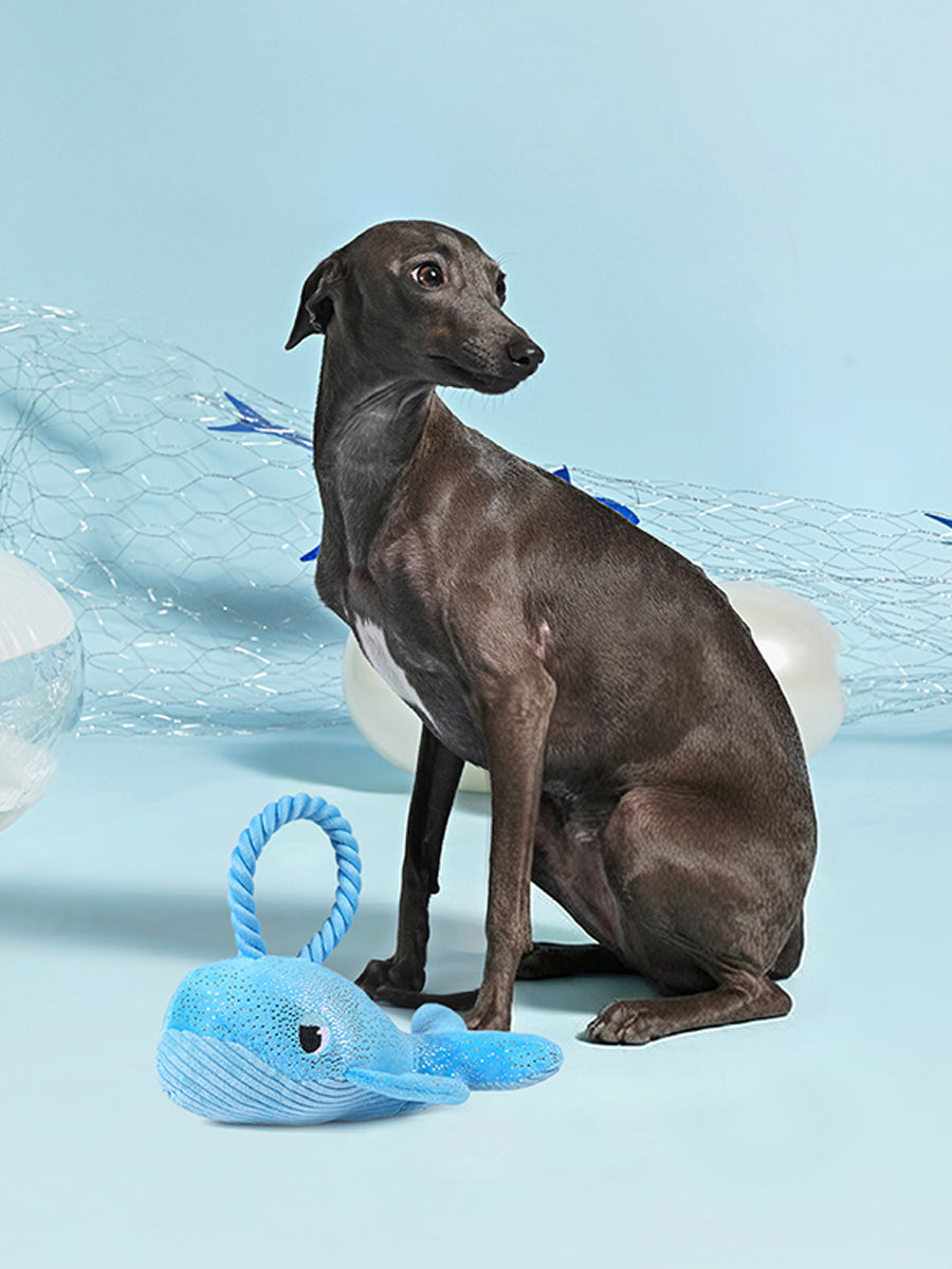 HugSmart-peluche-corde-pour-chien-chiot-ocean-pals-baleine